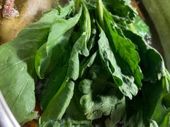 茼蒿菜-小煵记·打边炉(西丽文光店)