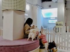 -怪兽屋·羊驼·猫咖·狗咖(俊华广场店)