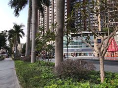-深圳龙华星河COCO City(民治店)