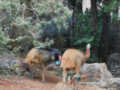 -昆明动物园