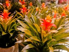 -KKV(深圳宏发大仟里店)