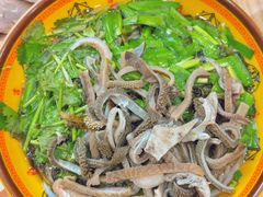 -浙江越秀外国语学院