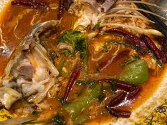 -俭寨大盘鸡·手抓肉·烧烤新疆菜(乌苏路店)