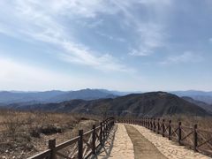 -北京鹫峰国家森林公园