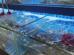 水产区-佰园全日西餐厅-厦门佰翔软件园酒店