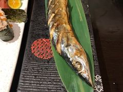 -春草居酒屋·晴子の店
