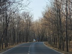 -秦皇岛野生动物园