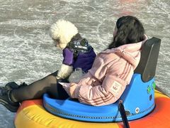 -洛阳白云山景区