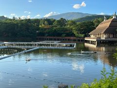 -清迈夜间动物园