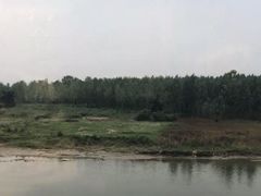 -稻香村鱼庄
