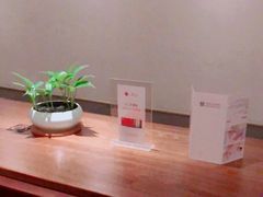 -常乐·对症推拿(来福士第43分店)