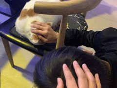 -平行世界·猫咖(首经贸店)