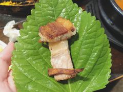 -Dombe豚(黑猪肉街店)
