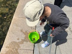 -上海月湖雕塑公园