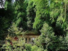-武陵山森林公园