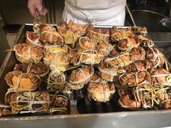 -常州环球恐龙城维景国际大酒店