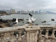 -黑石礁公园