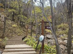 -大岭沟猕猴桃谷风景区