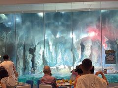 -帝企鹅自助餐厅•儿童岛•真企鹅(长隆企鹅酒店)