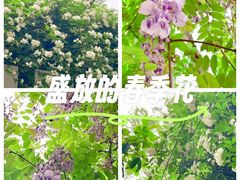 -桂湖森林公园