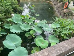 -韩湘水博园