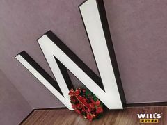 -威尔仕健身(北京合生汇店)