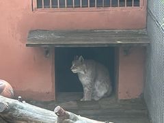 -青藏高原野生动物园