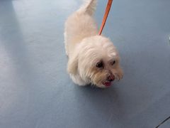 -全心全意动物诊疗中心医院(北苑店)