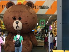 -line friends(明洞旗舰店)