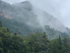 -青城山