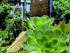 -凤来栖·净庭院·火锅(欧尚店)