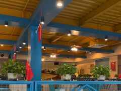 -马大胡子清真西北菜