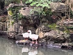 -兰亭风景区
