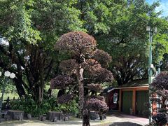 -广州莲花山旅游区