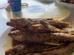 -晓琦农家菜馆·地道农家菜