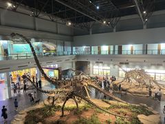 -自贡恐龙博物馆