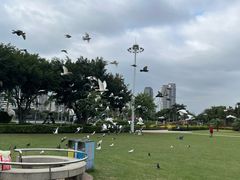 -白鹭洲公园