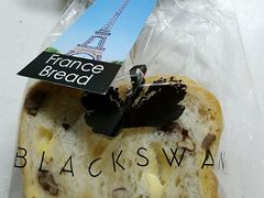 -BLACKSWAN黑天鹅(环球店)