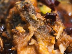 -老板恋上鱼(印象城店)