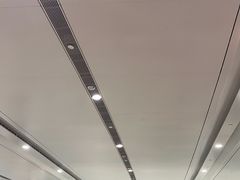 -麦当劳(北京大兴机场二层国内到达(安检外)店)