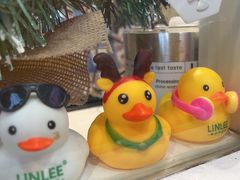 -LINLEE林里·手打柠檬茶(黄浦茂名南路店)