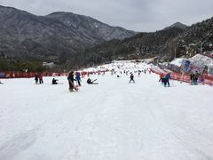 -大别山南武当滑雪场