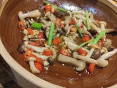 -大鸽饭(马王堆店)