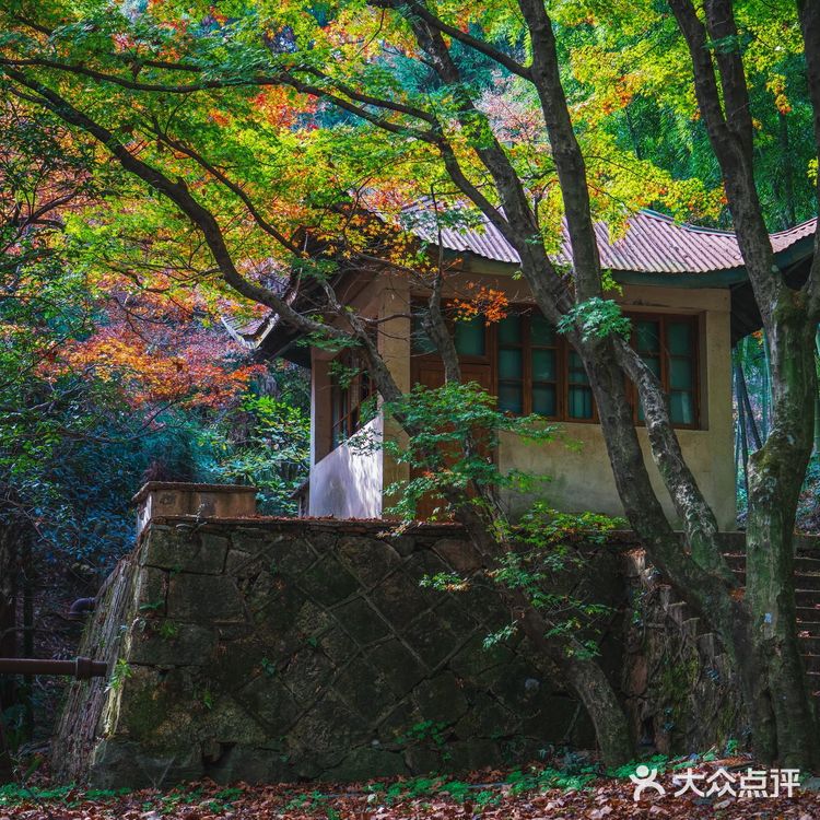 莫干山的深秋,迷人色彩惹人醉