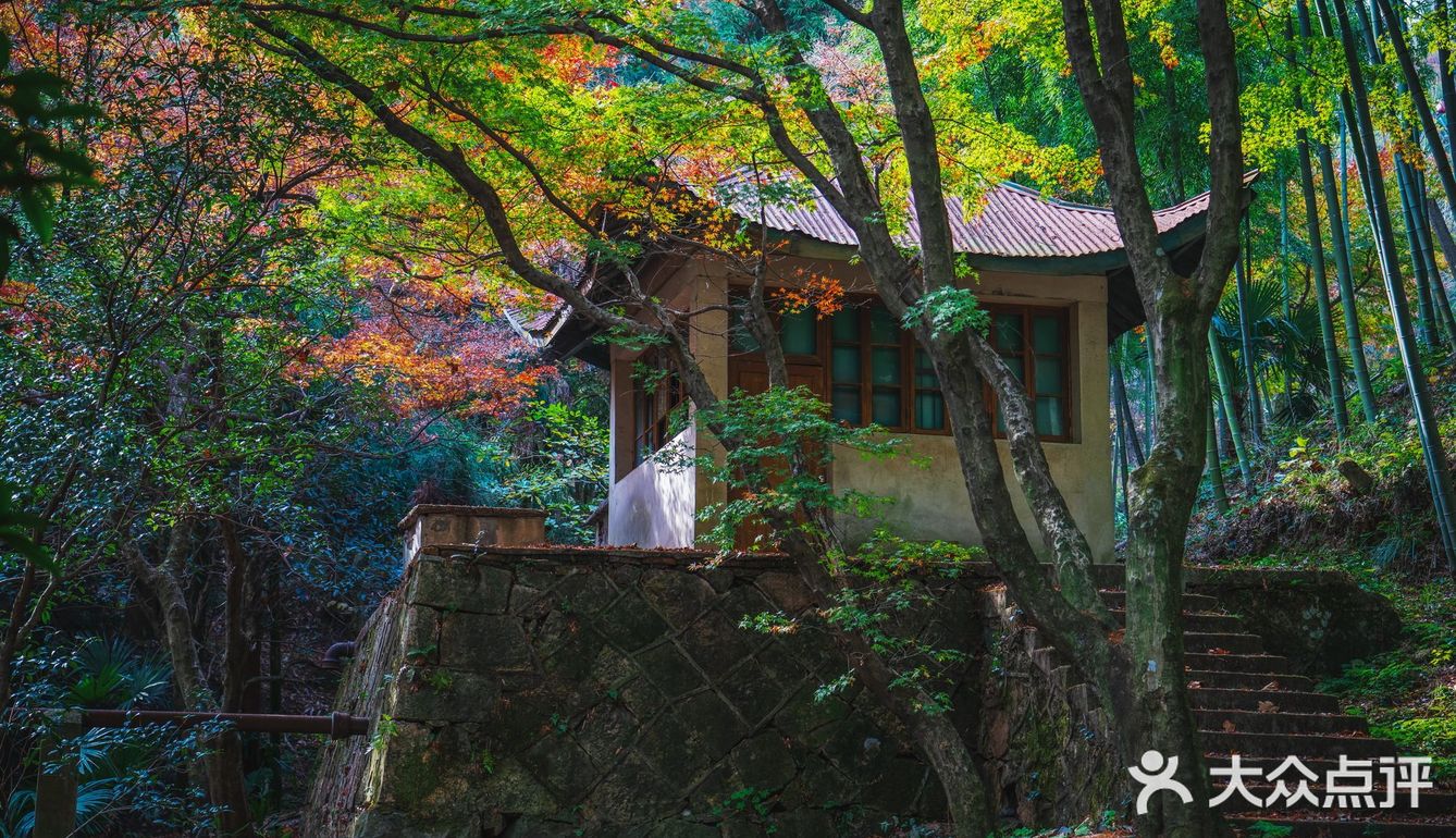 莫干山的深秋，迷人色彩惹人醉