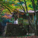 莫干山的深秋，迷人色彩惹人醉