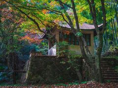 -莫干山风景区