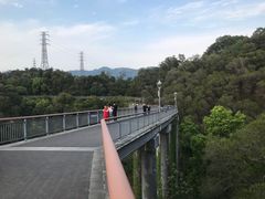 -金鸡山公园
