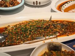 大鲫鱼-院8里·小聚园老川菜(九眼桥店)