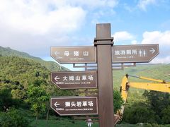 -大姆山草场